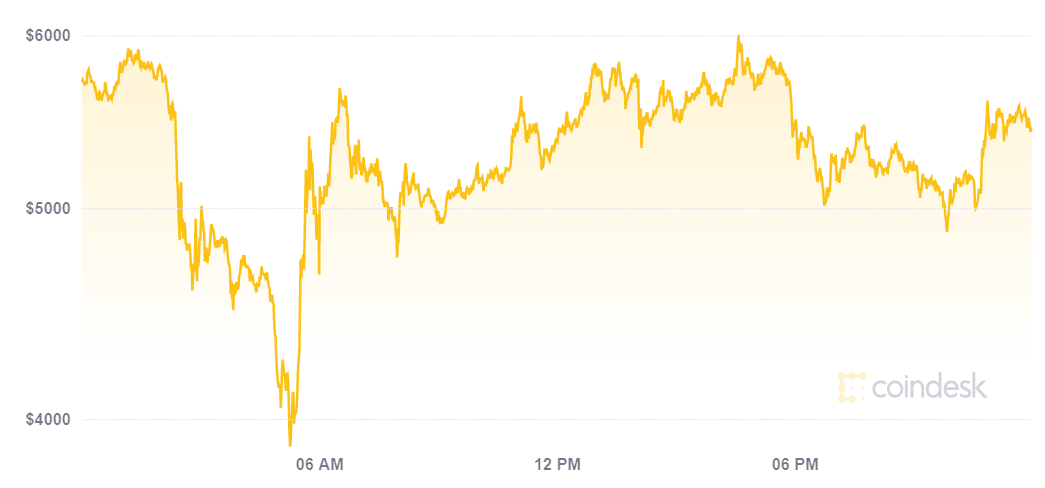 Chart showing the 13.03 daily move, from Coindesk